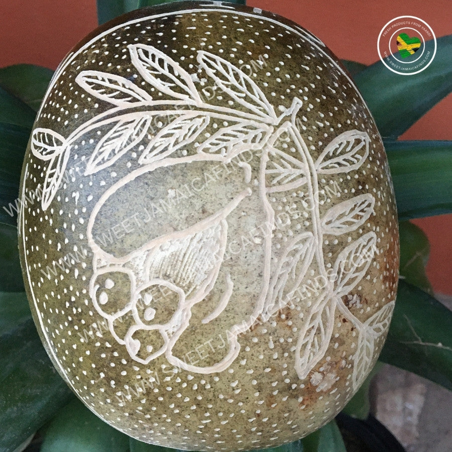 Calabash Bowl Plate, 'Ackee' Design, Natural eco-friendly wooden bowl, Hand Carved