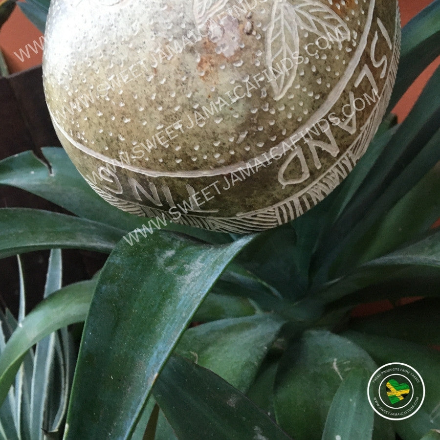 Calabash Bowl Plate, 'Ackee' Design, Natural eco-friendly wooden bowl, Hand Carved