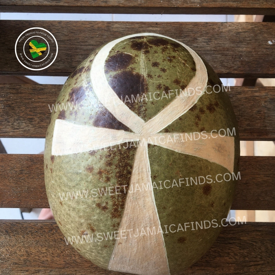 Calabash Bowl Plate, 'Ankh' Design, Natural eco-friendly wooden bowl, Hand Carved