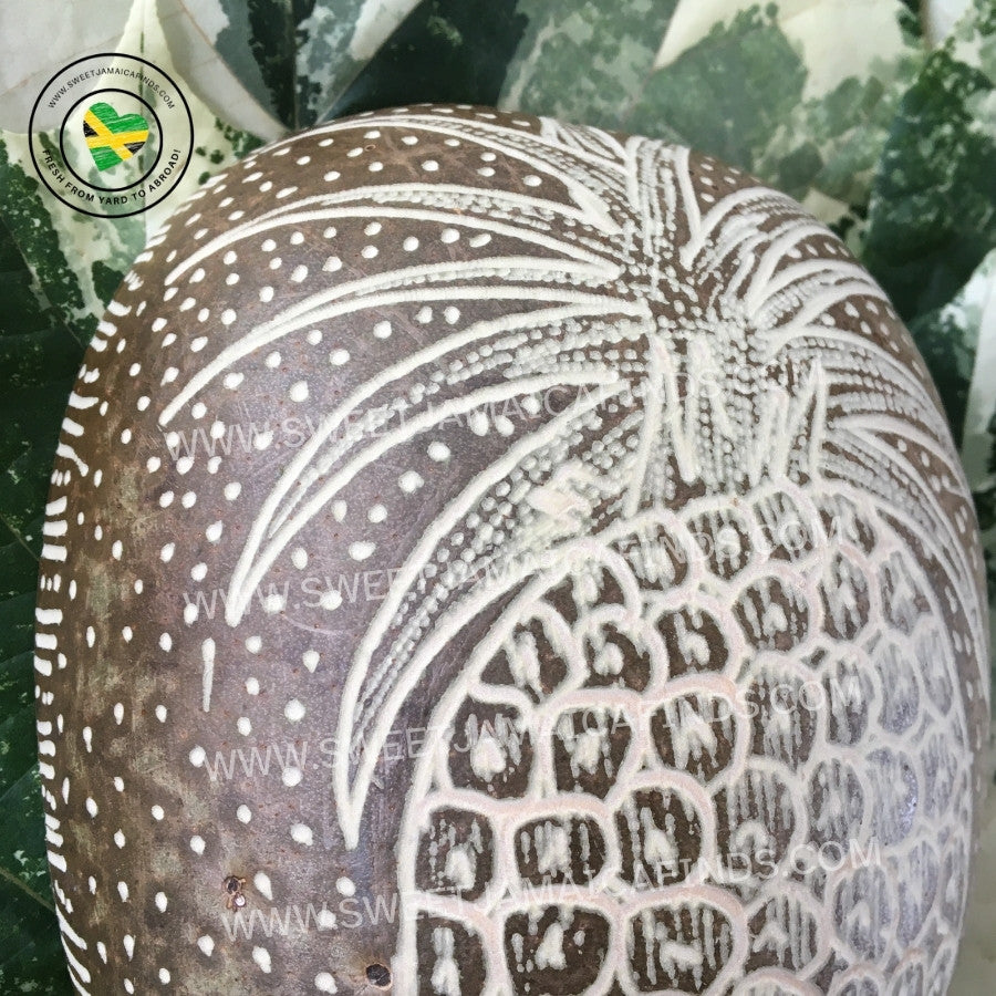 Calabash Bowl Plate, 'Pineapple' Design, Natural eco-friendly wooden bowl, Hand Carved