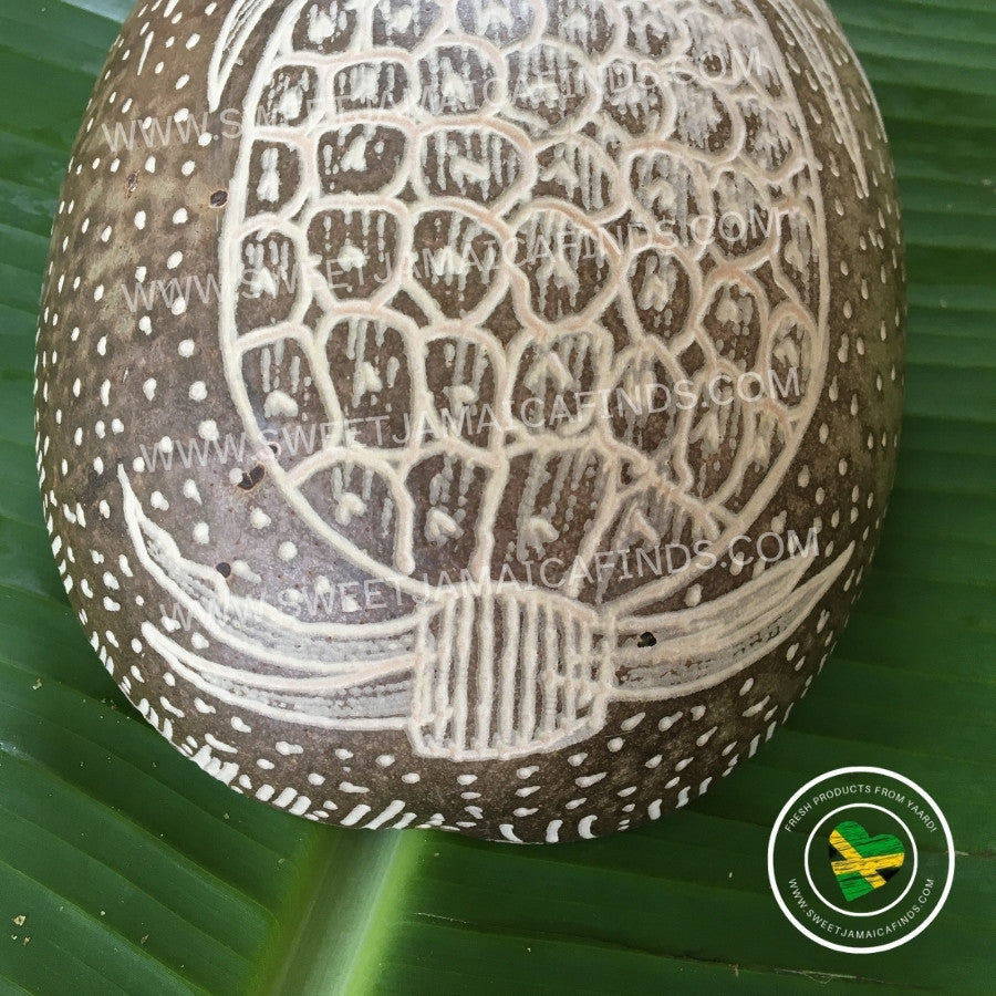 Calabash Bowl Plate, 'Pineapple' Design, Natural eco-friendly wooden bowl, Hand Carved