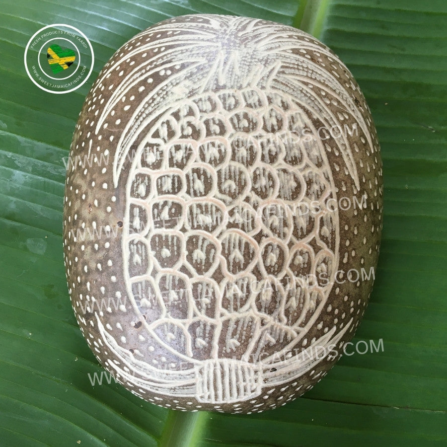 Calabash Bowl Plate, 'Pineapple' Design, Natural eco-friendly wooden bowl, Hand Carved