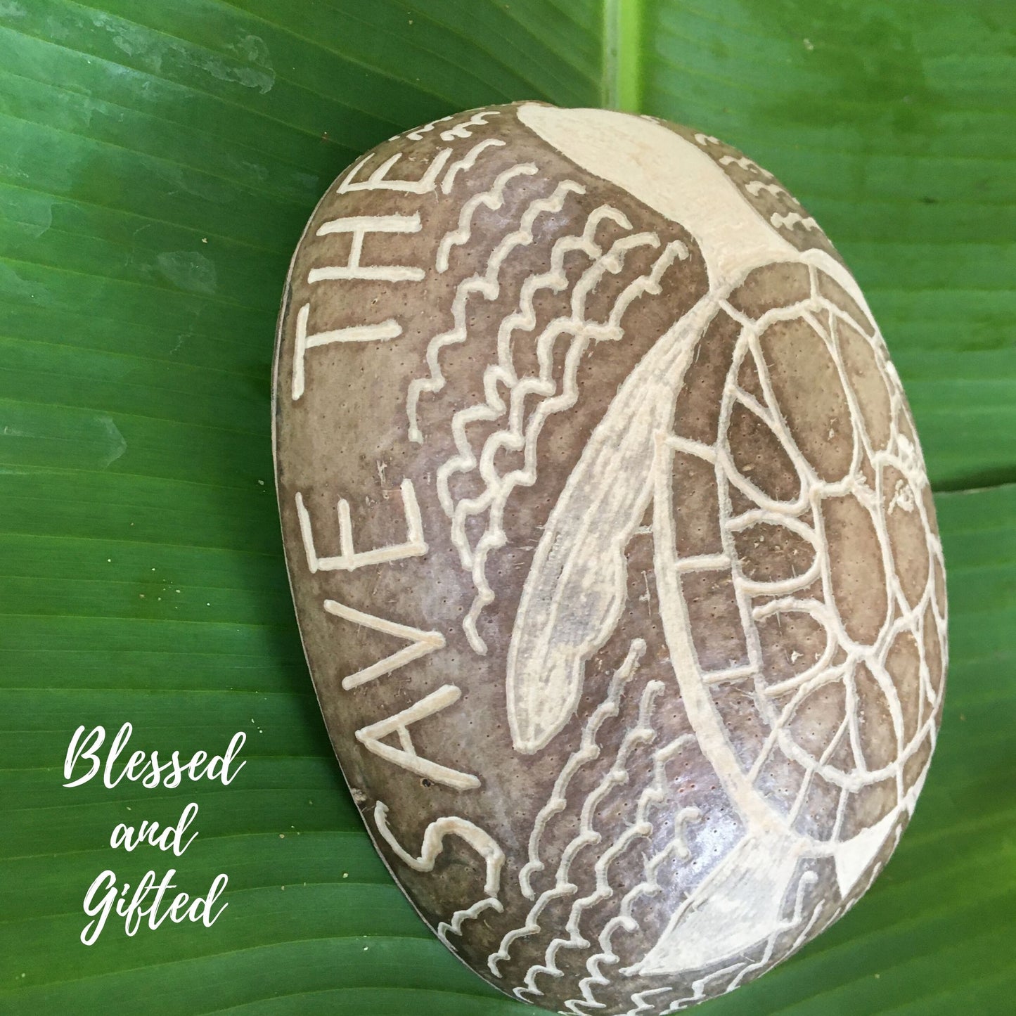Calabash Bowl Plate, 'Turtle' Design, Natural eco-friendly wooden bowl, Hand Carved