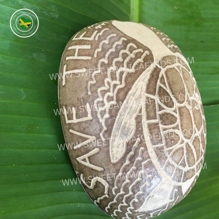 Calabash Bowl Plate, 'Turtle' Design, Natural eco-friendly wooden bowl, Hand Carved