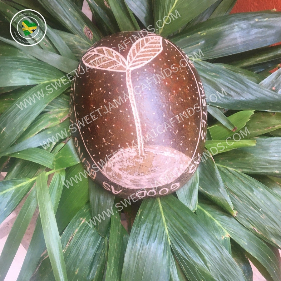 Calabash Bowl Plate, 'Vegan Feels' Design, Natural eco-friendly wooden bowl, Hand Carved