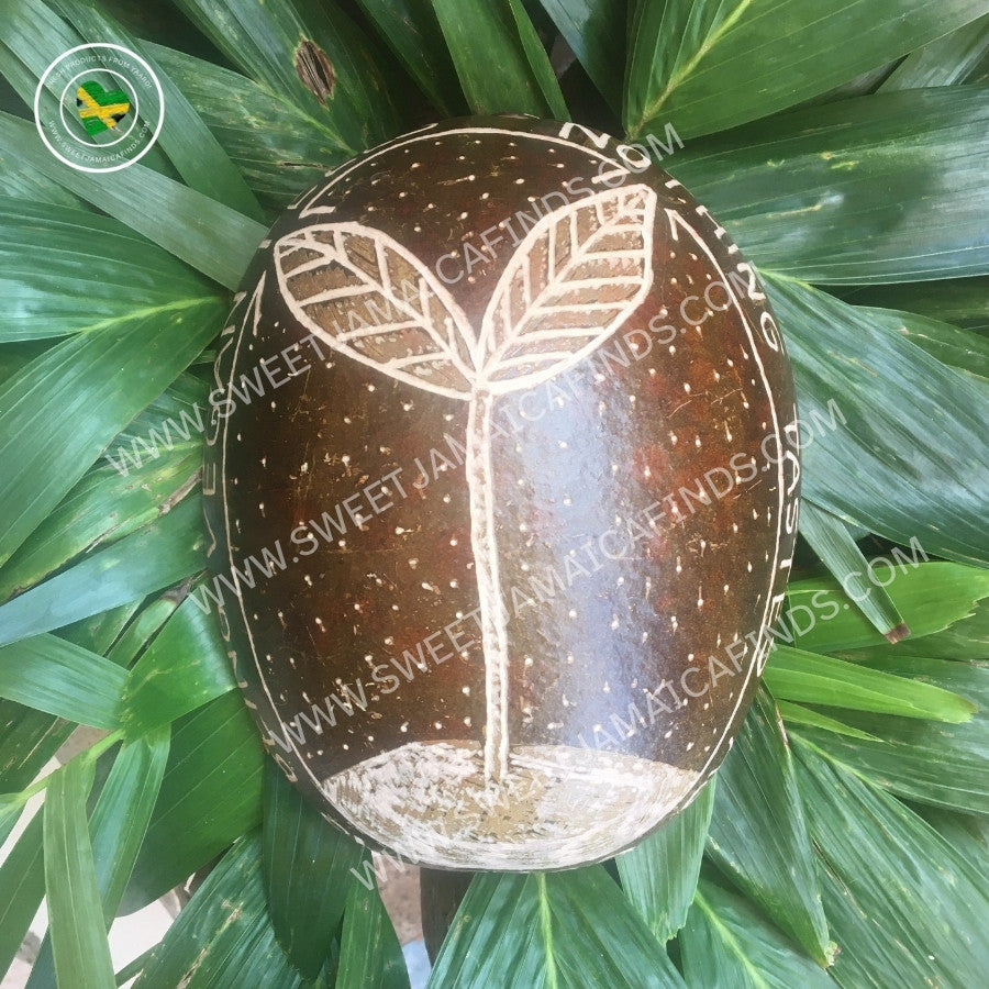 Calabash Bowl Plate, 'Vegan Feels' Design, Natural eco-friendly wooden bowl, Hand Carved