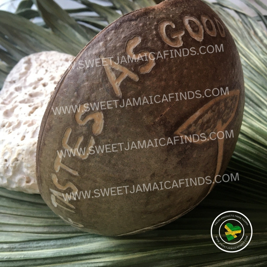 Calabash Bowl Plate, 'Vegan Feels' Design, Natural eco-friendly wooden bowl, Hand Carved