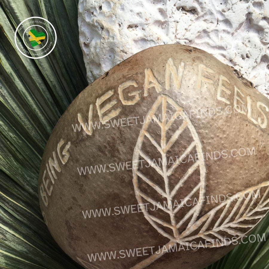 Calabash Bowl Plate, 'Vegan Feels' Design, Natural eco-friendly wooden bowl, Hand Carved