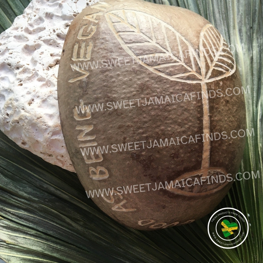 Calabash Bowl Plate, 'Vegan Feels' Design, Natural eco-friendly wooden bowl, Hand Carved