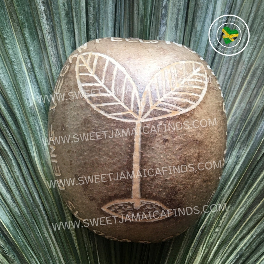 Calabash Bowl Plate, 'Vegan Feels' Design, Natural eco-friendly wooden bowl, Hand Carved