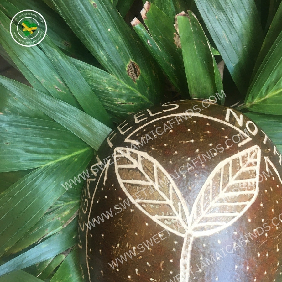 Calabash Bowl Plate, 'Vegan Feels' Design, Natural eco-friendly wooden bowl, Hand Carved